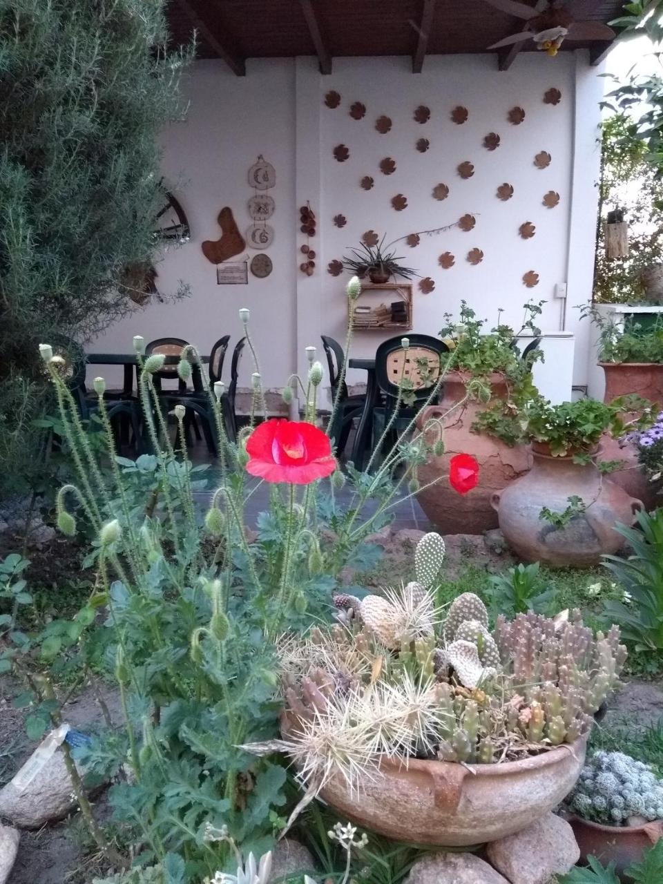 Hotel Portal Del Santo 카파야테 외부 사진