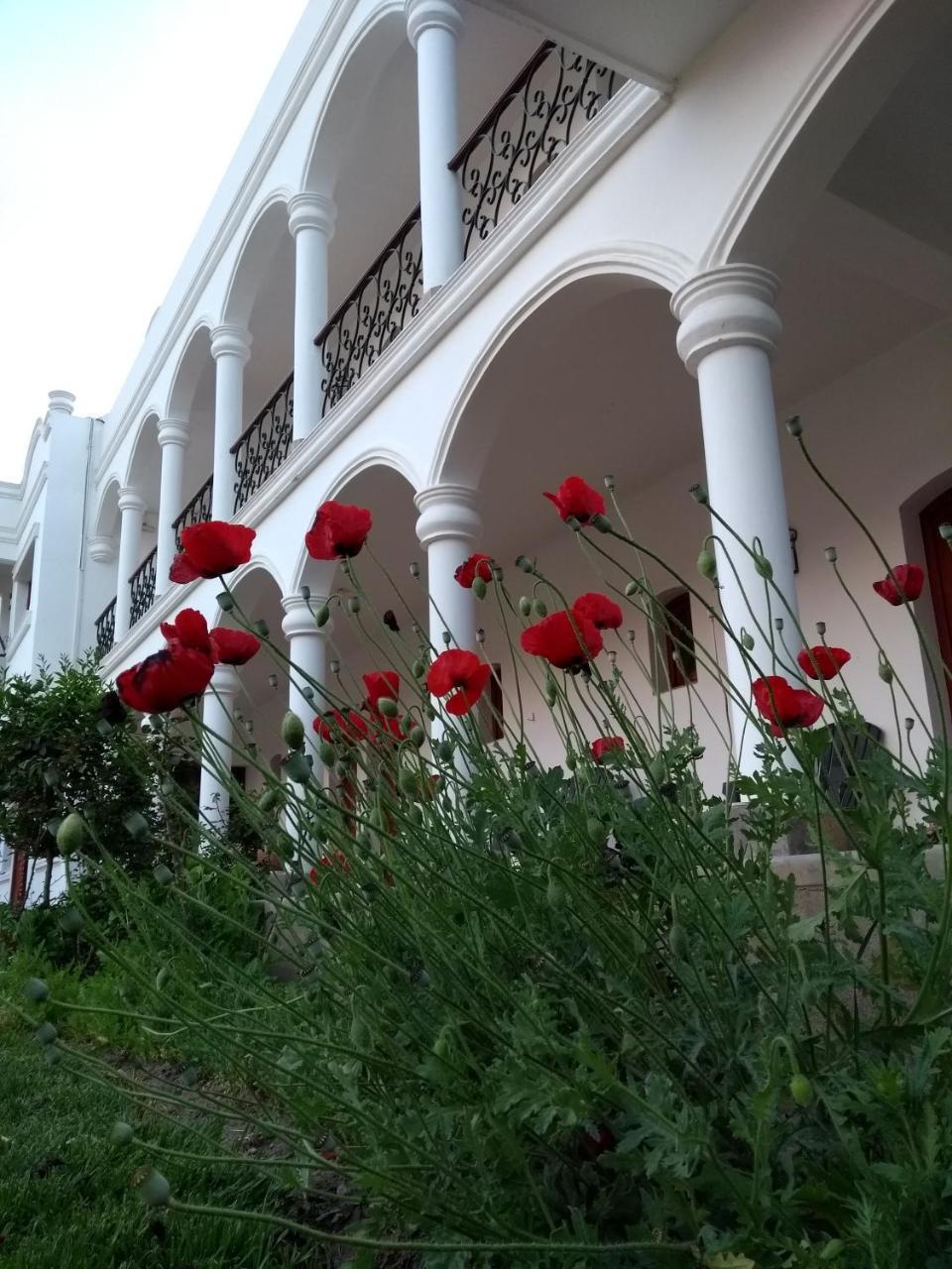 Hotel Portal Del Santo 카파야테 외부 사진